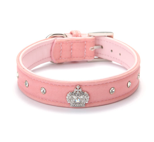 Small dog and puppy collar velvet
