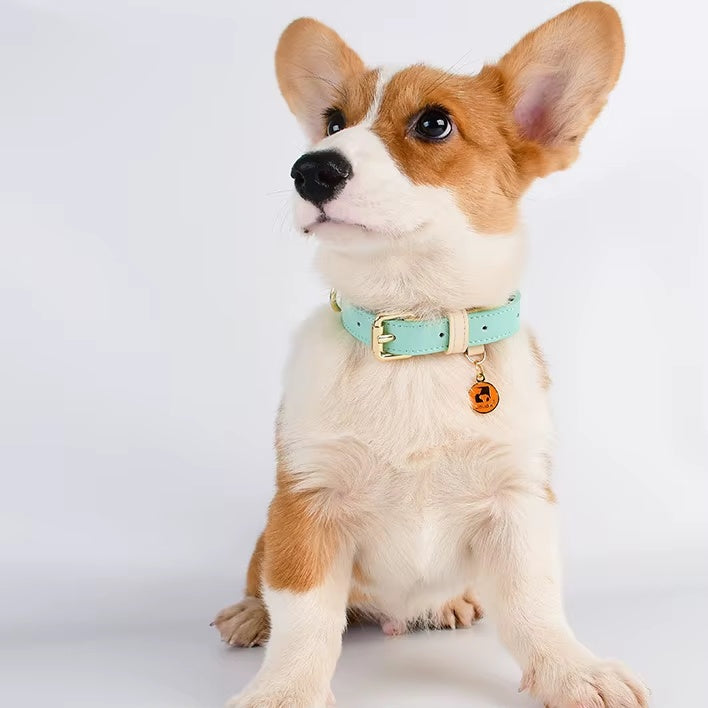 Cute leather collar