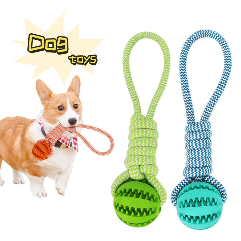 Dental tug of war toy