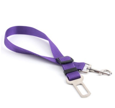 Dog Seat Belts