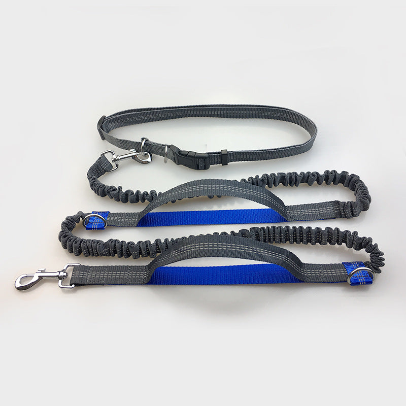 No Hands Bungie Leash