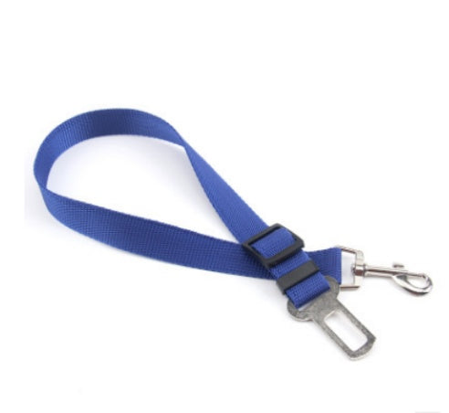 Dog Seat Belts