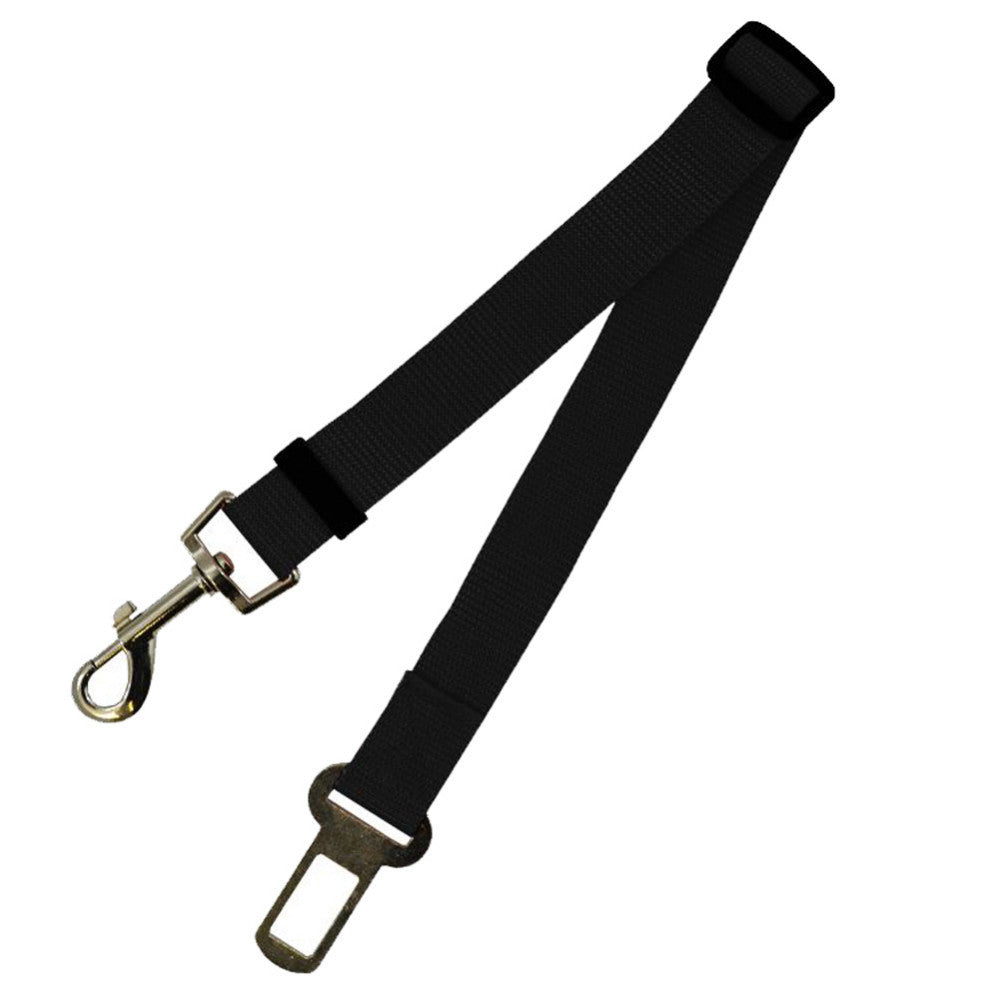 Dog Seat Belts