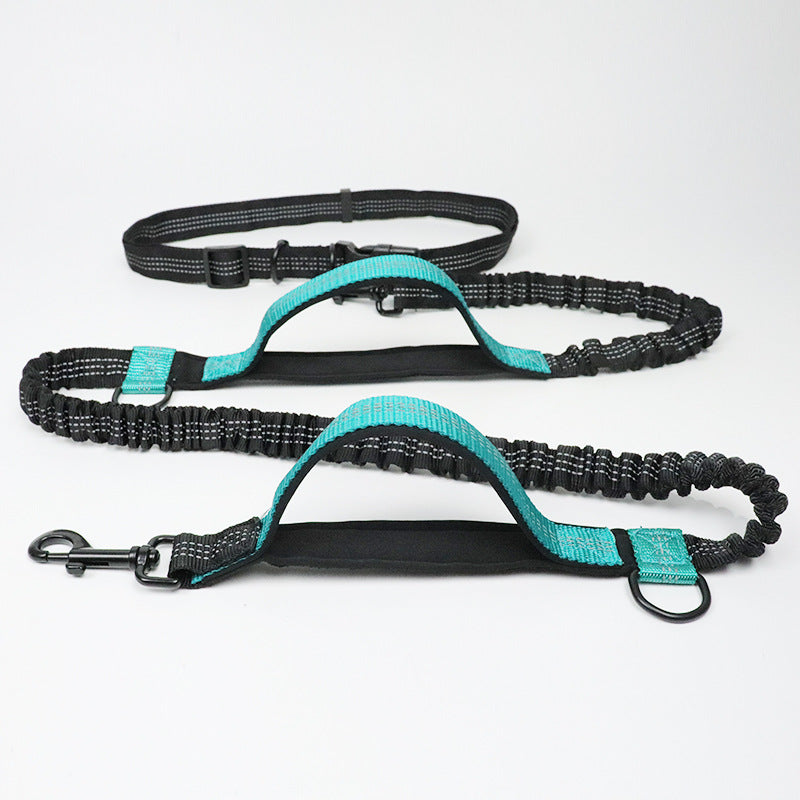 No Hands Bungie Leash