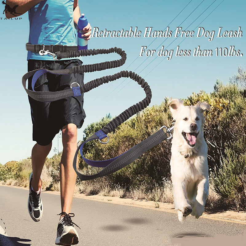 No Hands Bungie Leash