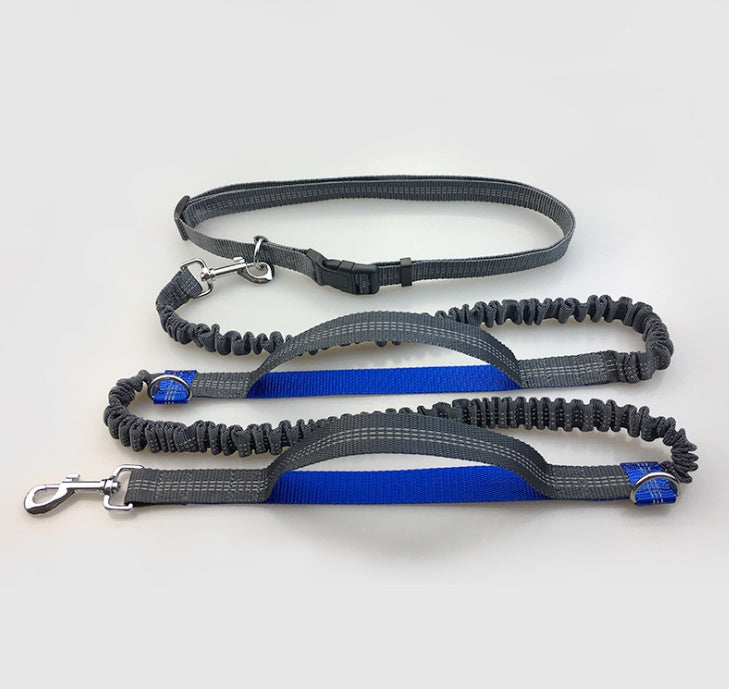 No Hands Bungie Leash