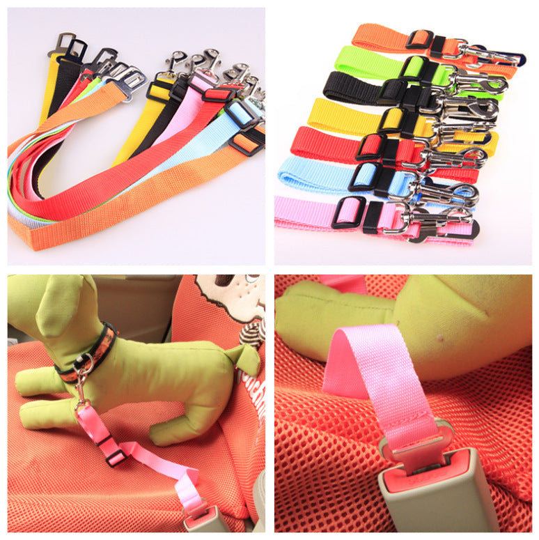 Dog Seat Belts