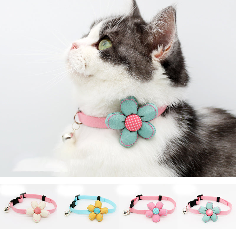 cat collars