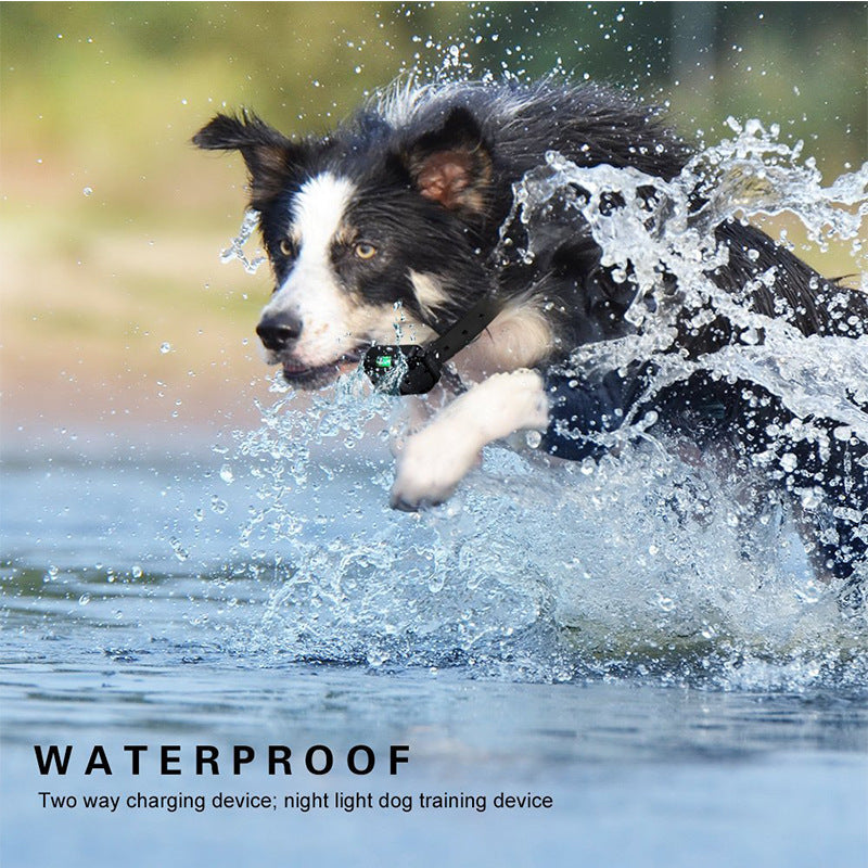 Remote Control water resistant Dog Training Device Dog Collar