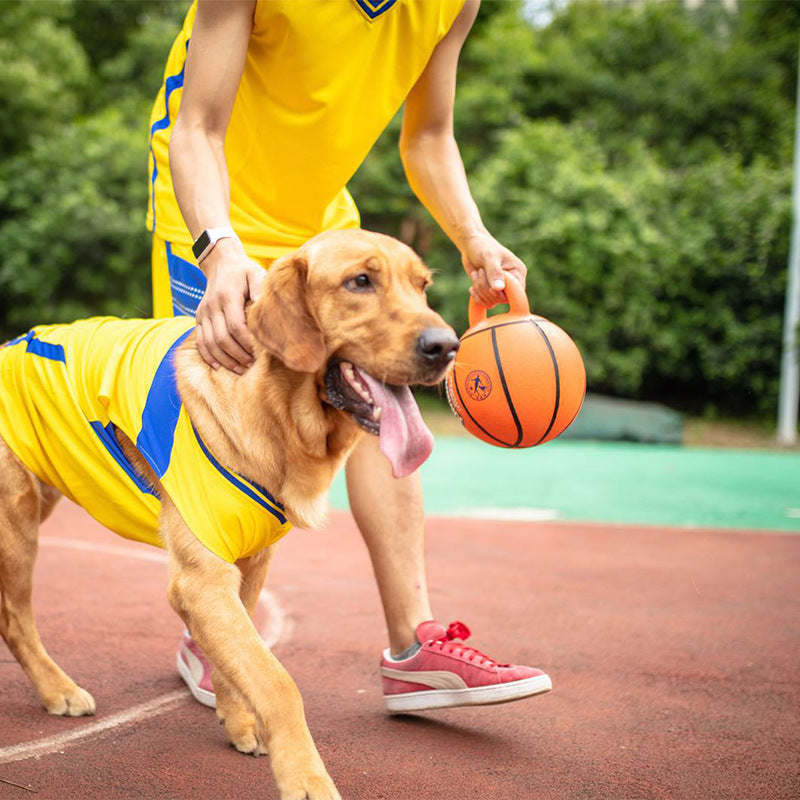 Jolly ball for large dogs