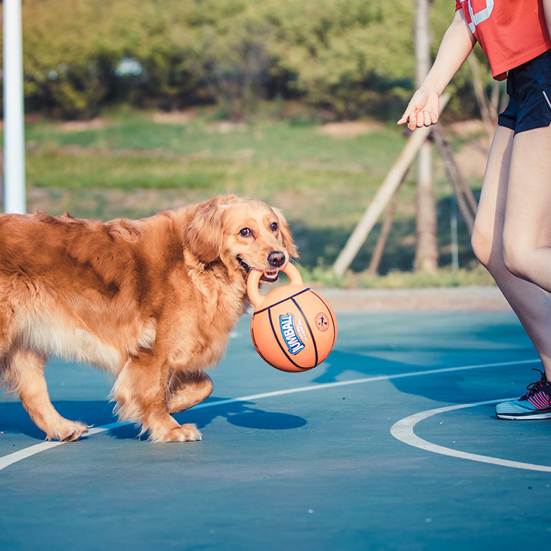 Jolly ball for large dogs