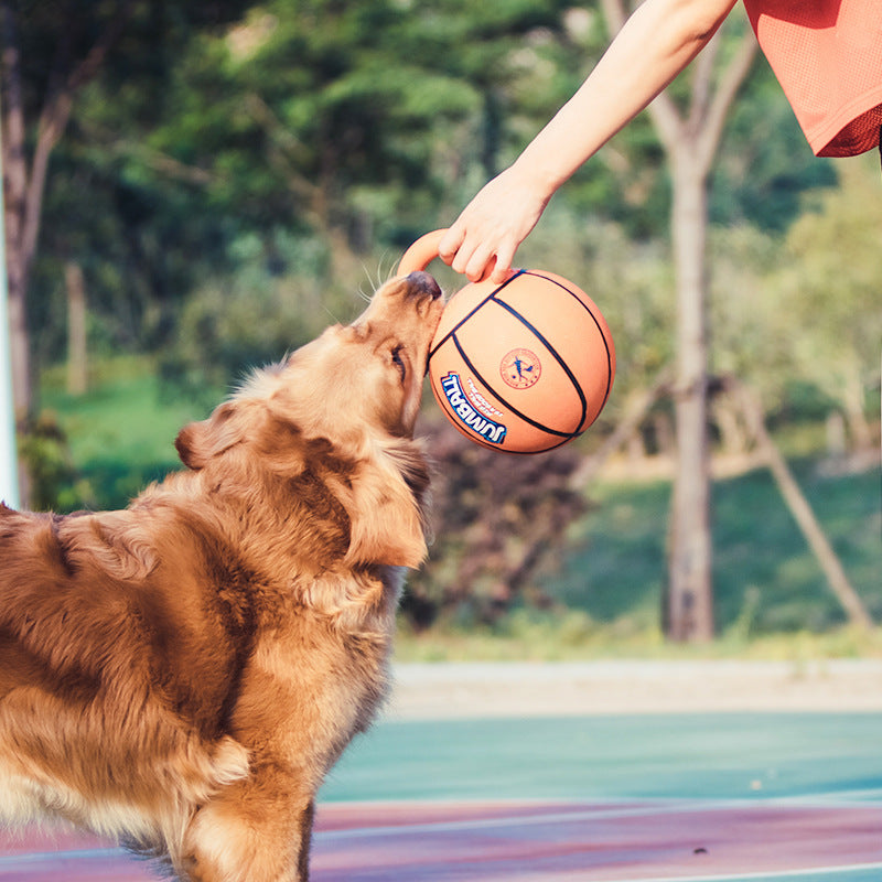 Jolly ball for large dogs