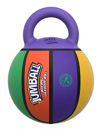 Jolly ball for large dogs