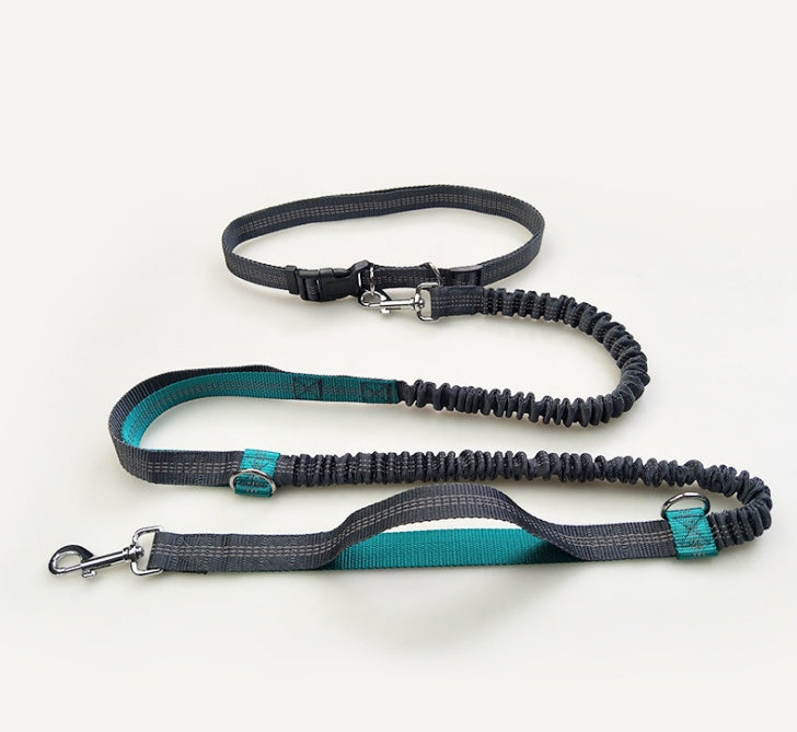 No Hands Bungie Leash