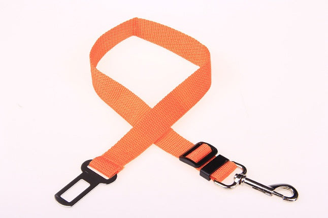 Dog Seat Belts