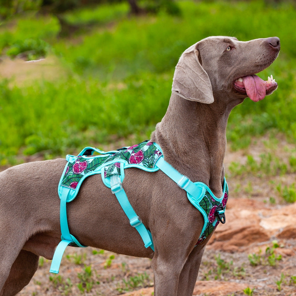 Comfortable Liftable Night Reflective Summer Harness