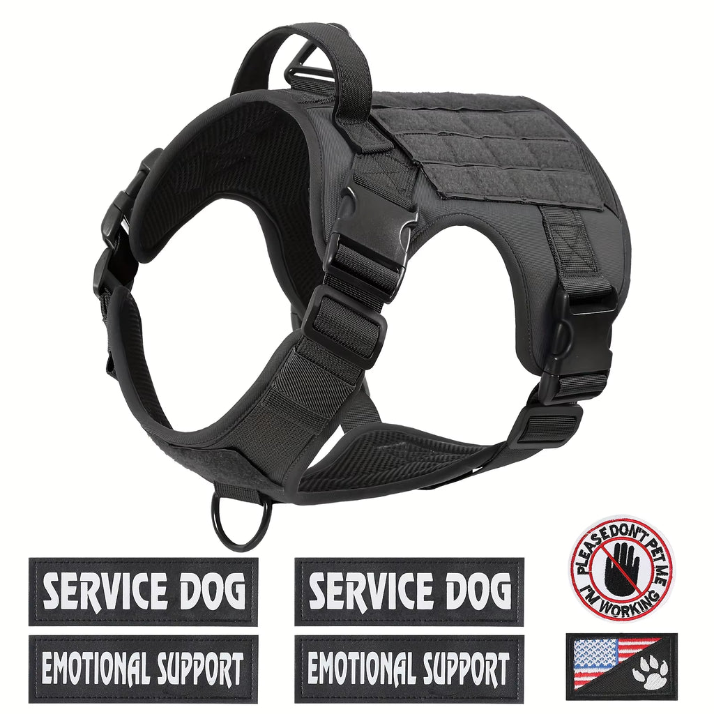Tactical Training Harness