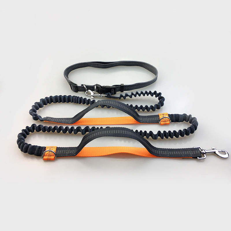 No Hands Bungie Leash