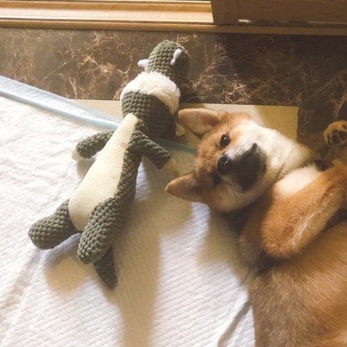 Bite-resistant Dog Plush Products