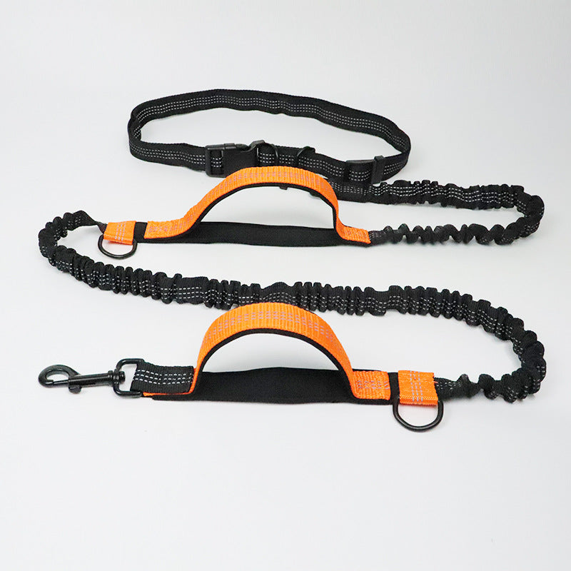 No Hands Bungie Leash