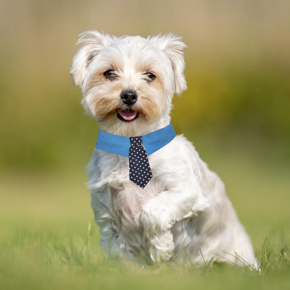 Pet tie