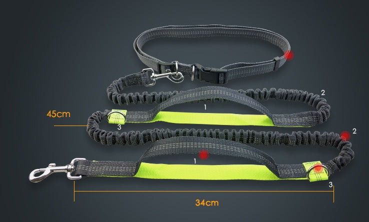 No Hands Bungie Leash