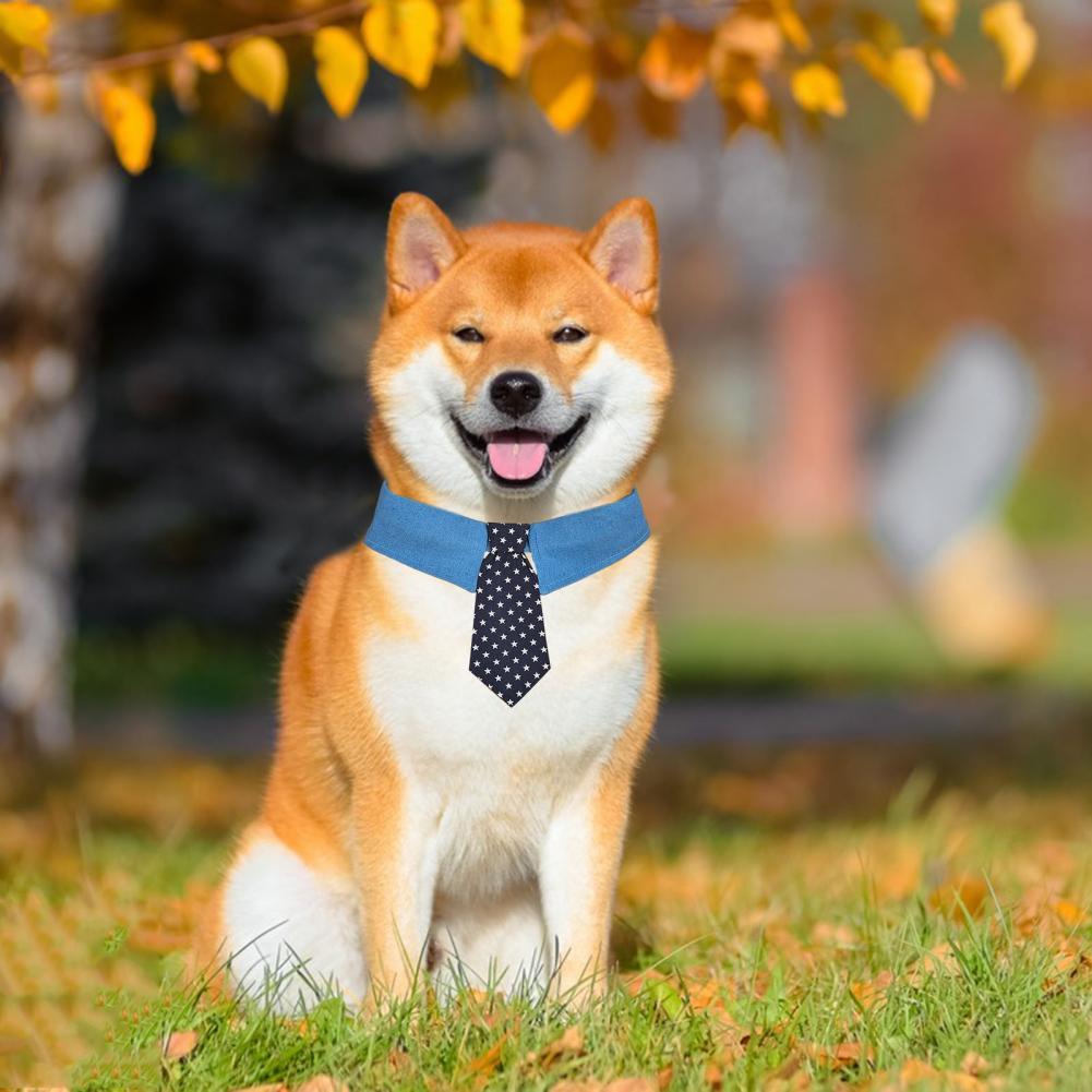 Pet tie
