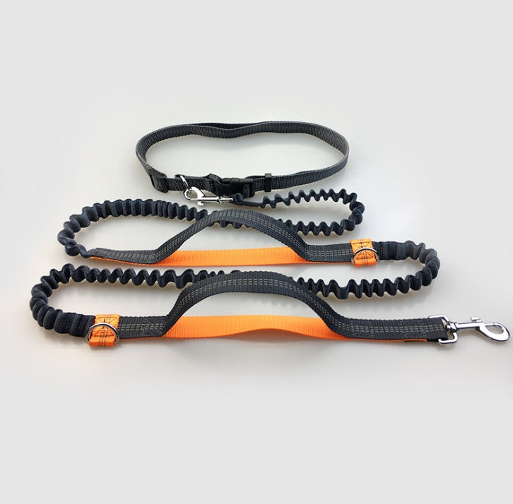 No Hands Bungie Leash