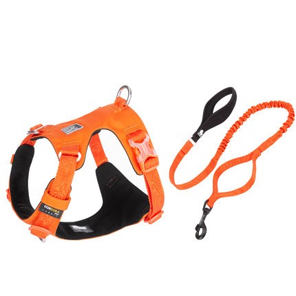 Large Dog Anti-pull Harness and bungie leash.
