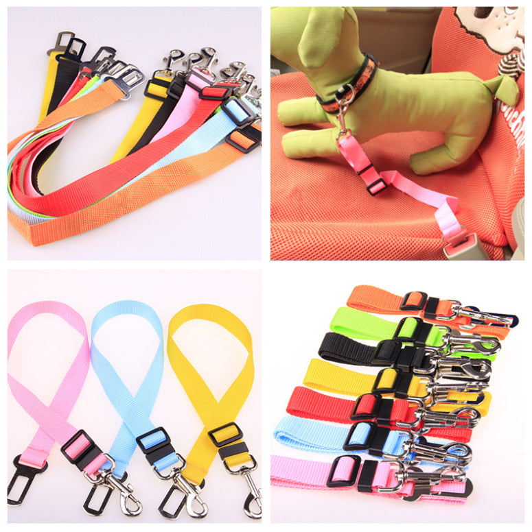 Dog Seat Belts