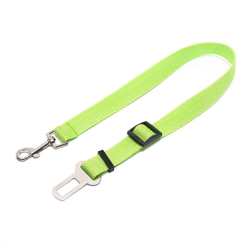 Dog Seat Belts