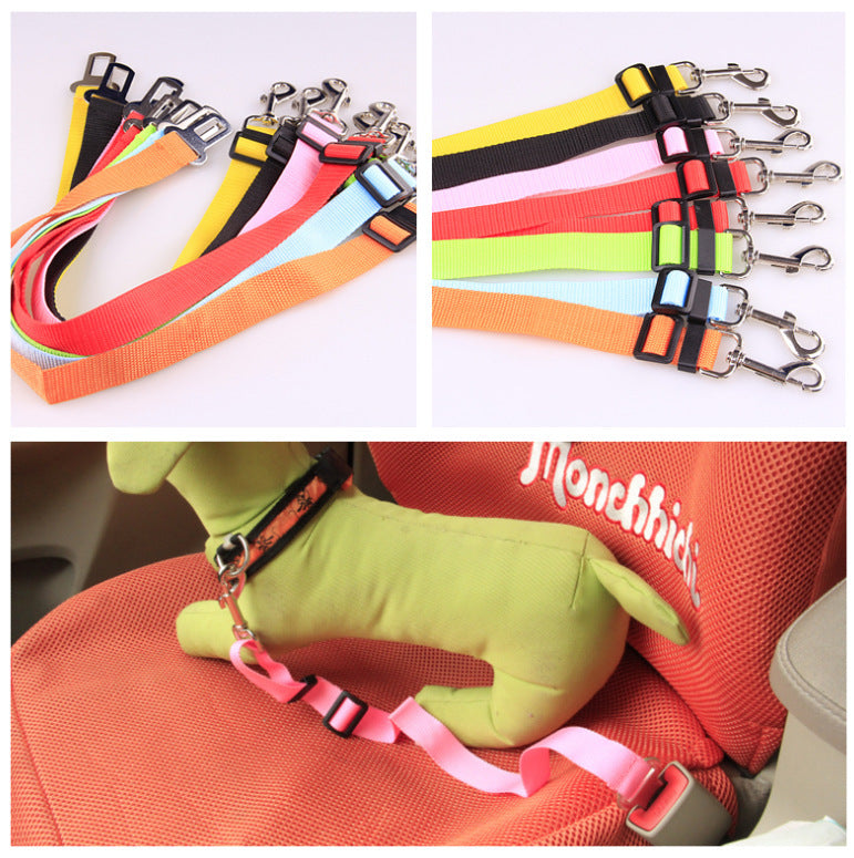 Dog Seat Belts