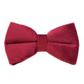 Velvet dog collar and harness set