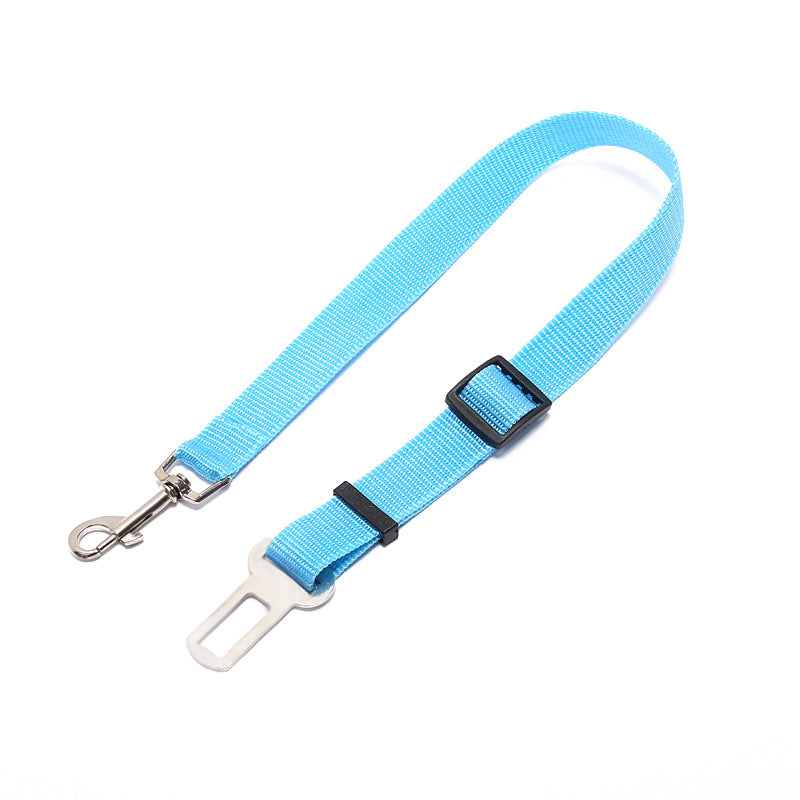 Dog Seat Belts
