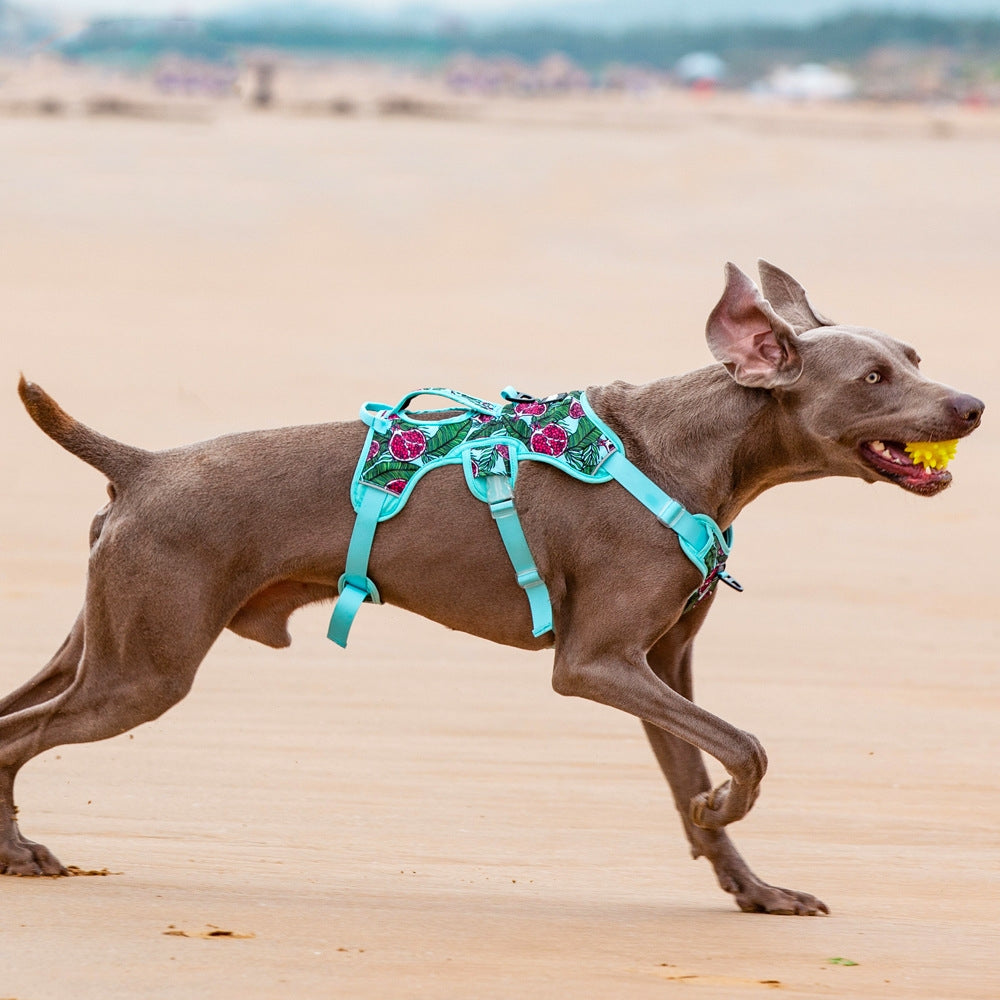 Comfortable Liftable Night Reflective Summer Harness