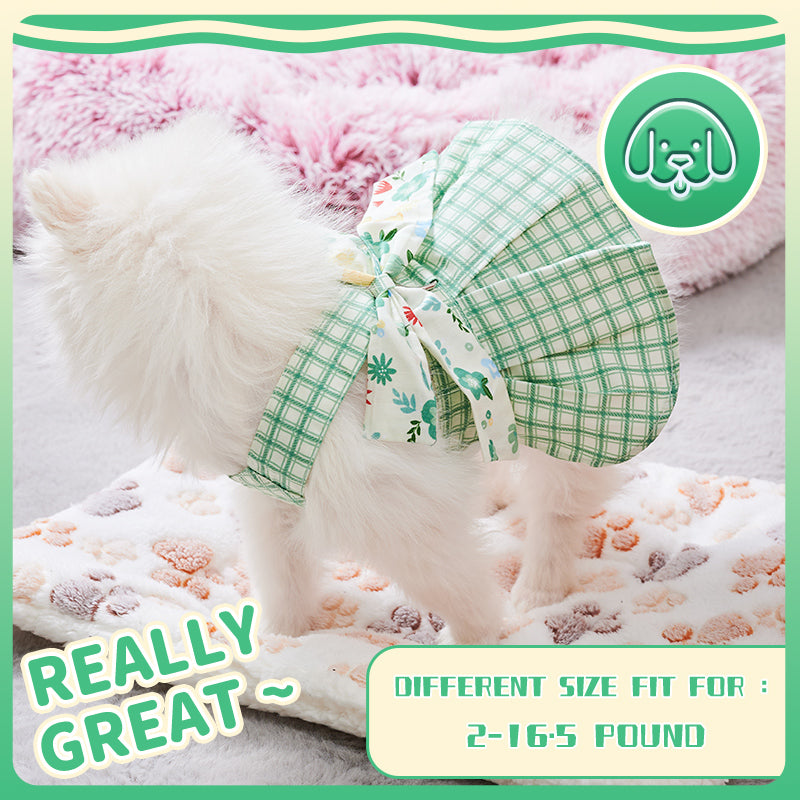 viral summer Small Dog Clothes Pet Harness With Leash Puppy Dresses Cute Outdoor Clothing Pet Dress Puppy