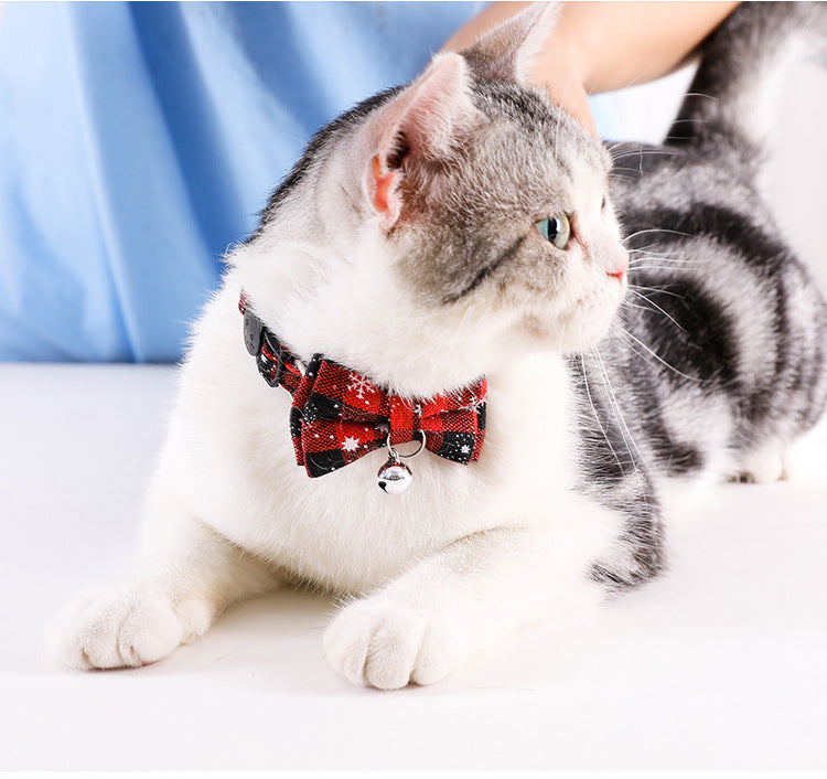 cute cat collars