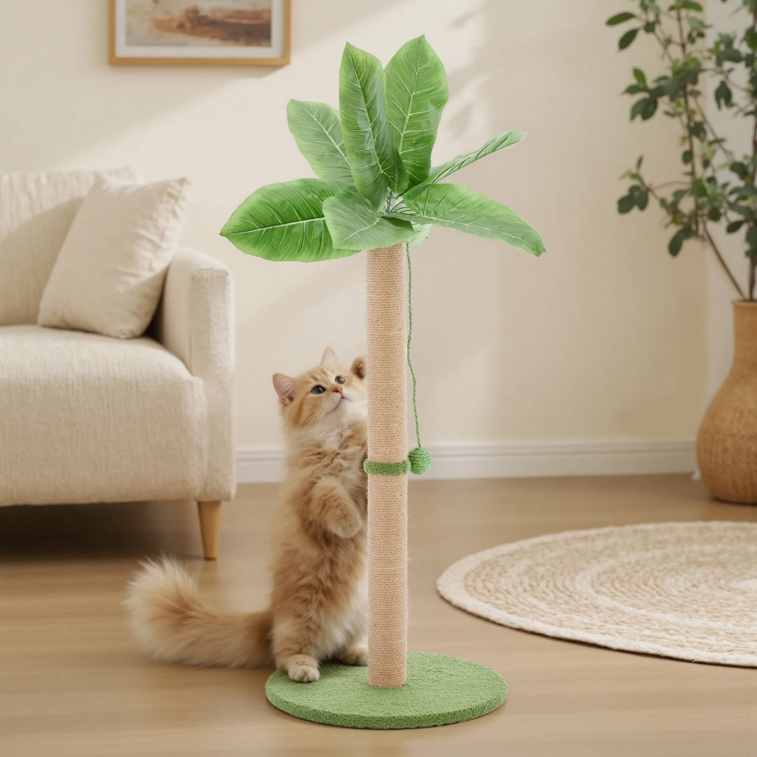 palm tree scratch post