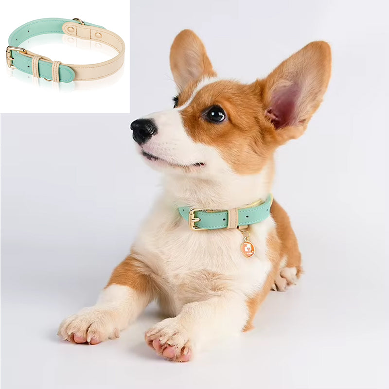 Cute leather collar