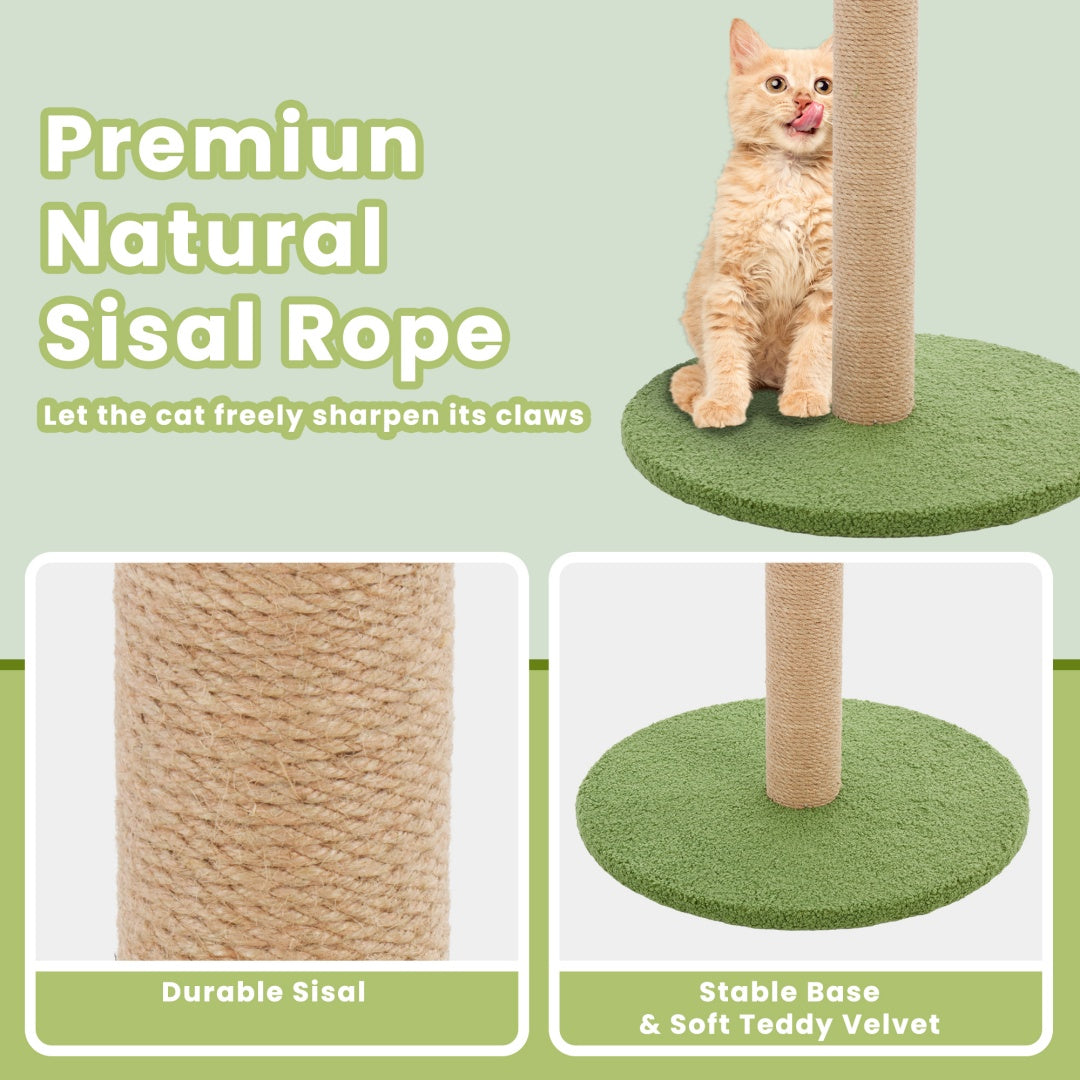 palm tree scratch post