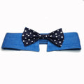 Pet tie