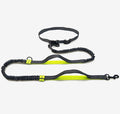 No Hands Bungie Leash