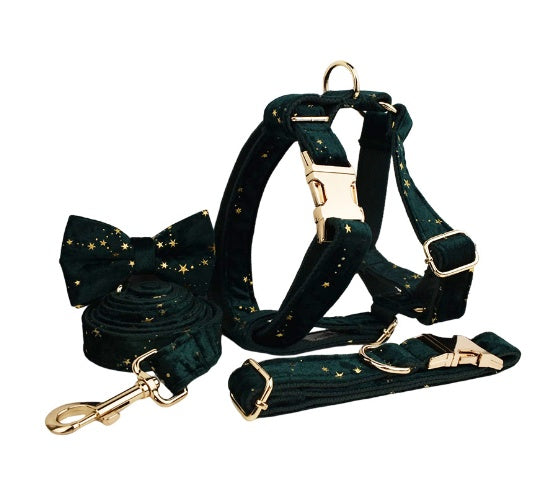 Stary Velvet Dog collar and Harness set