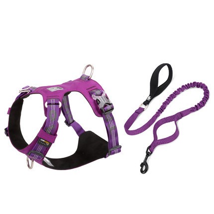 Large Dog Anti-pull Harness and bungie leash.