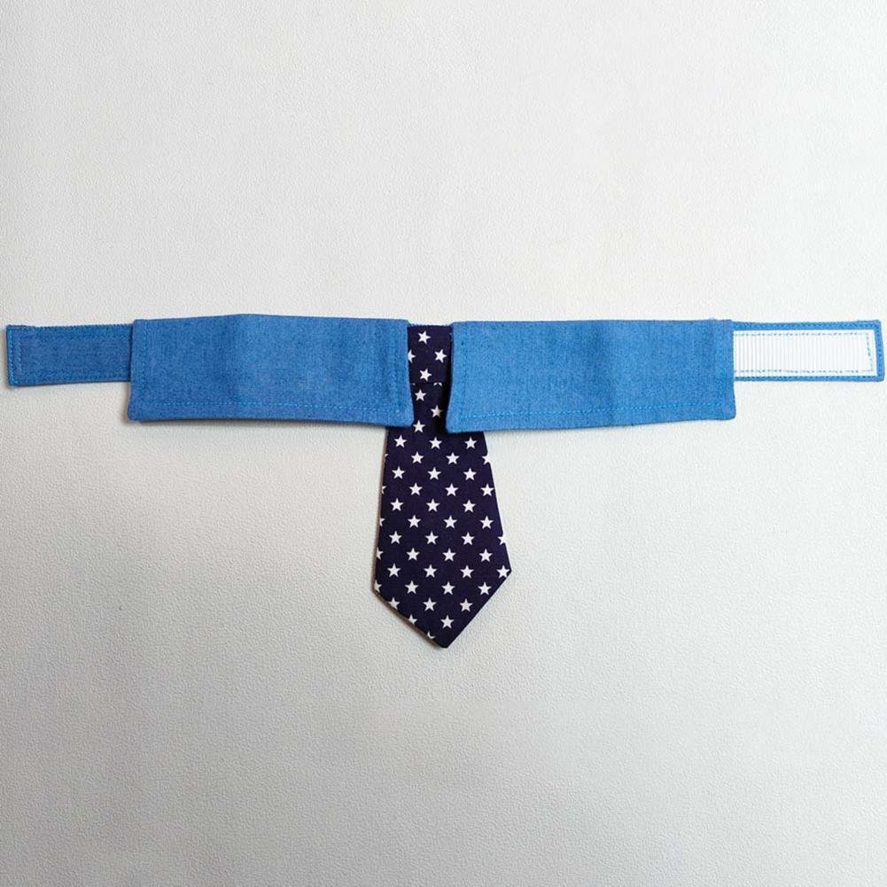 Pet tie