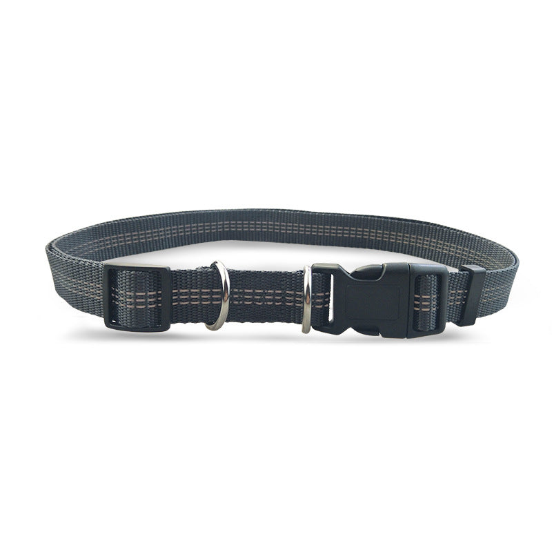 No Hands Bungie Leash