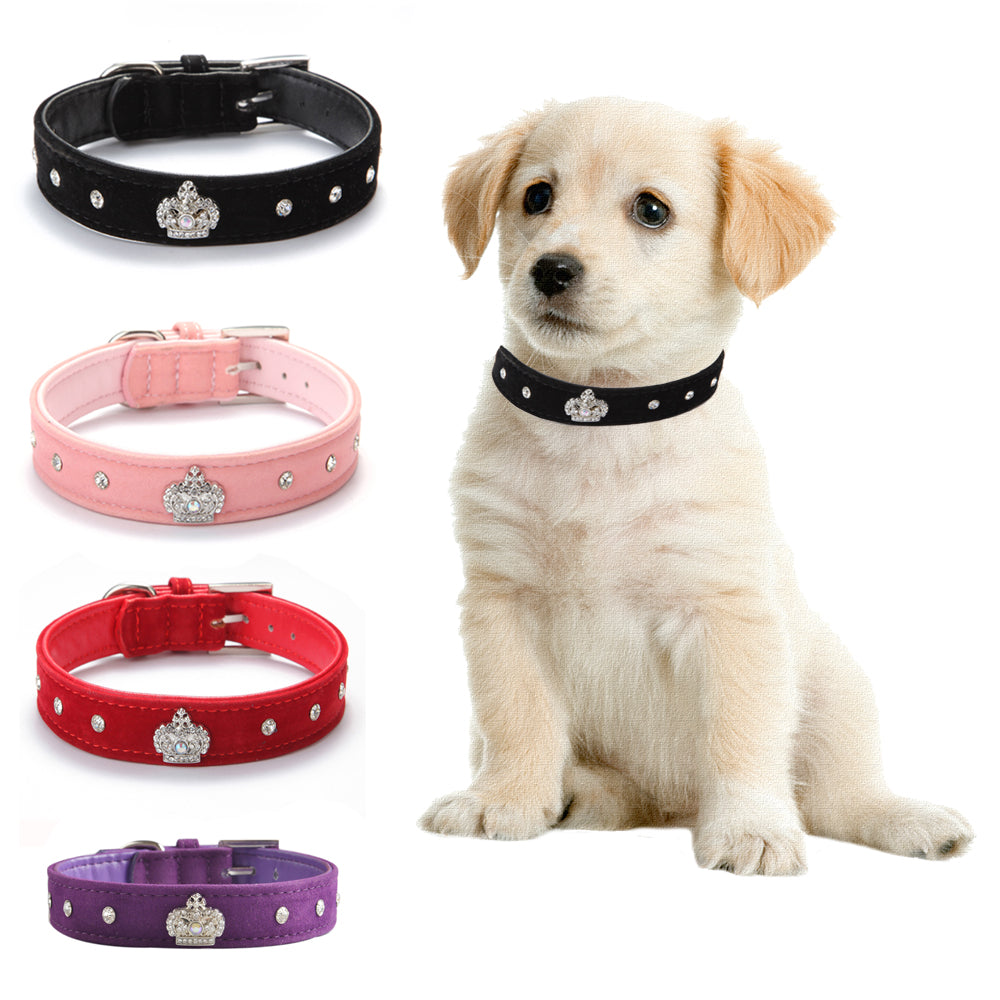Small dog and puppy collar velvet