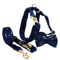 Stary Velvet Dog collar and Harness set