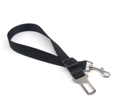 Dog Seat Belts