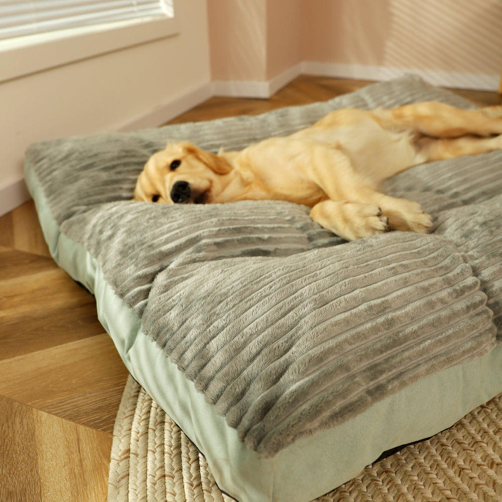 Comfy Cloud Pet Bed